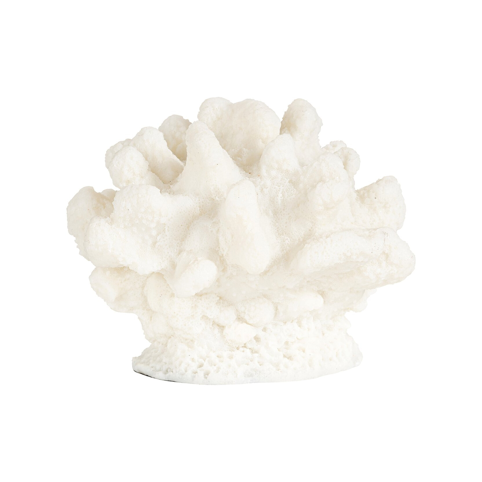 Richmond Faux Koraal Mare - Wit