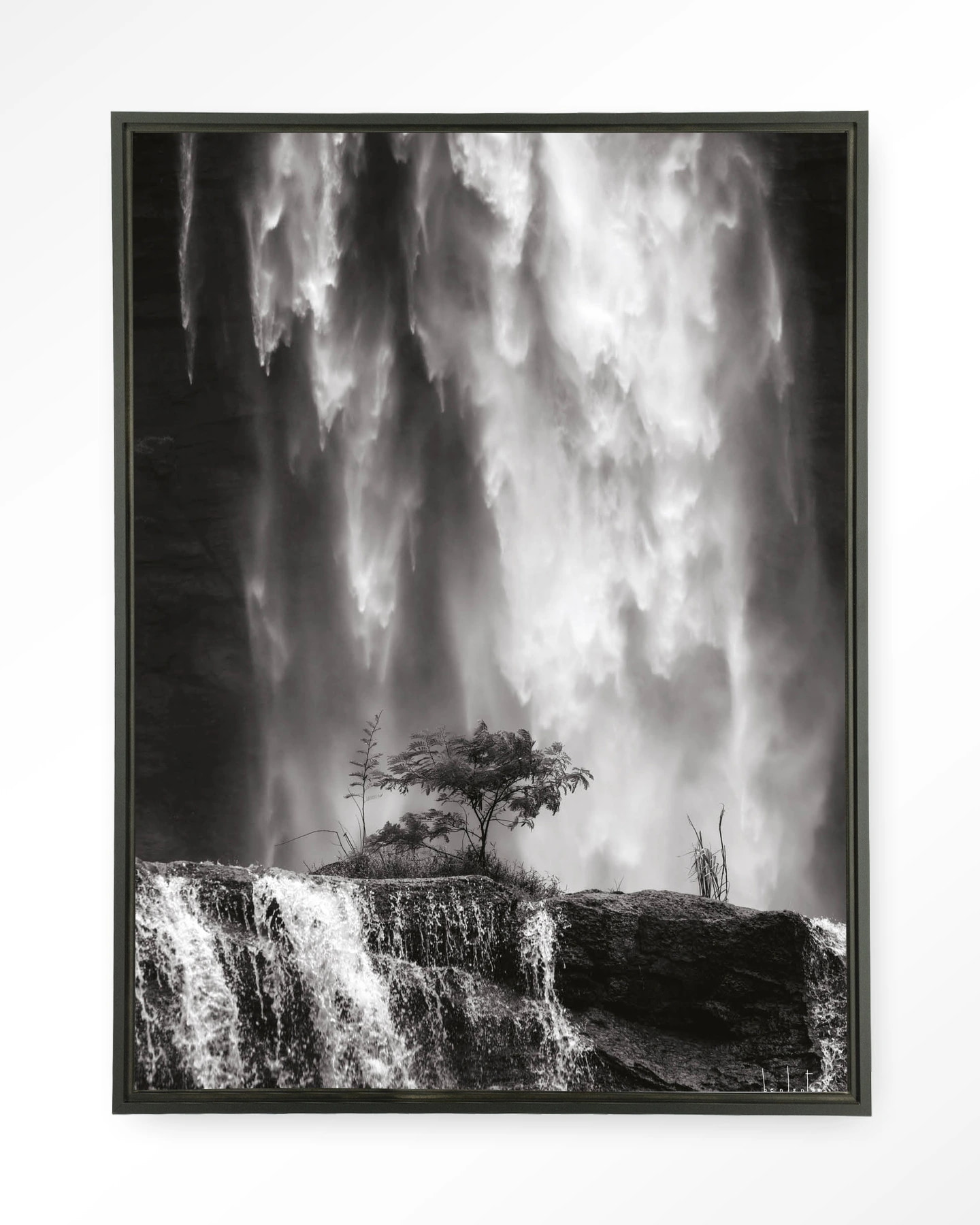 Urban Cotton Wandkleed 'Germinate' 80 x 110cm in Floating Frame - black