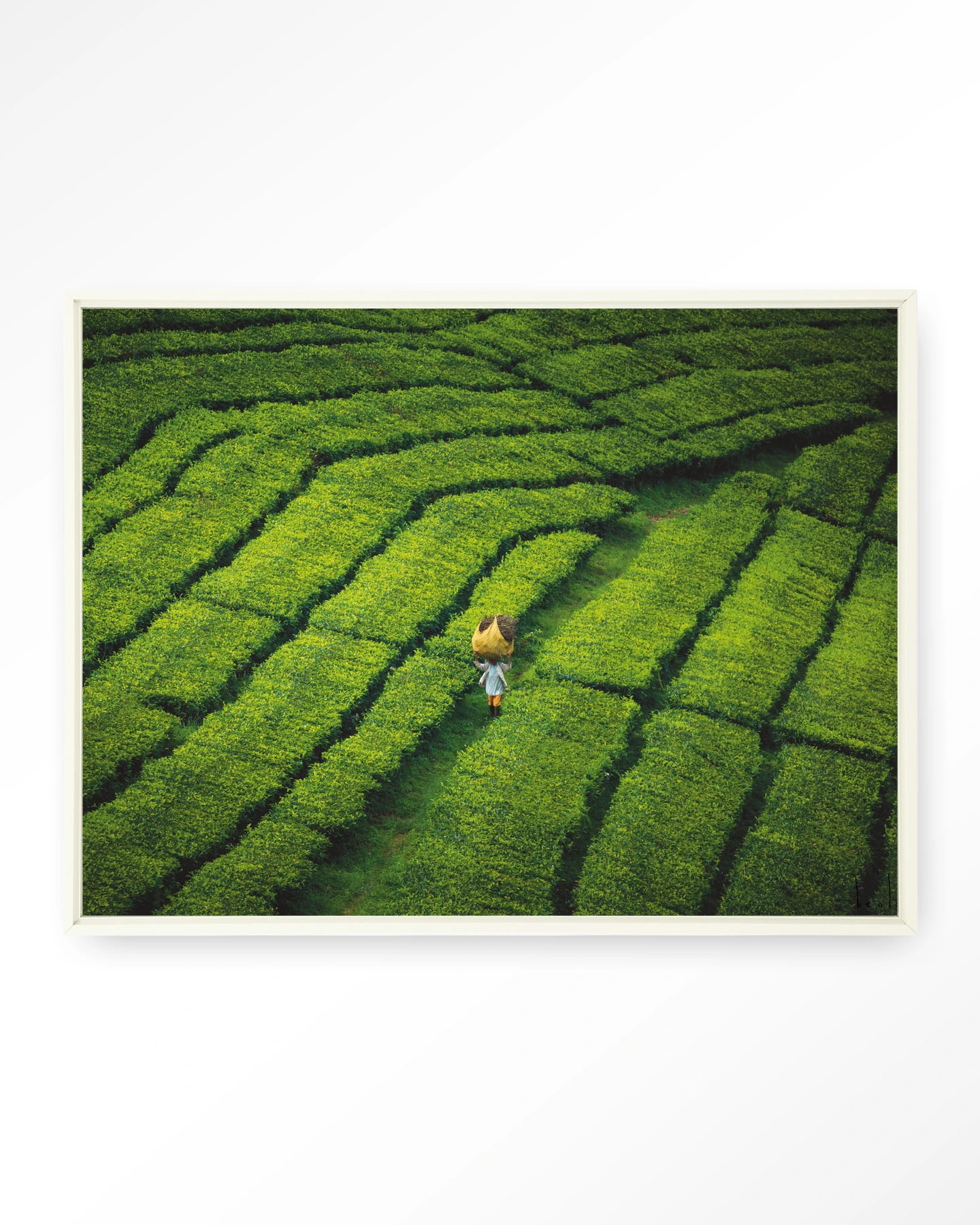 Urban Cotton Wandkleed 'Tote Pengalengan' 80 x 110cm in Floating Frame - off white