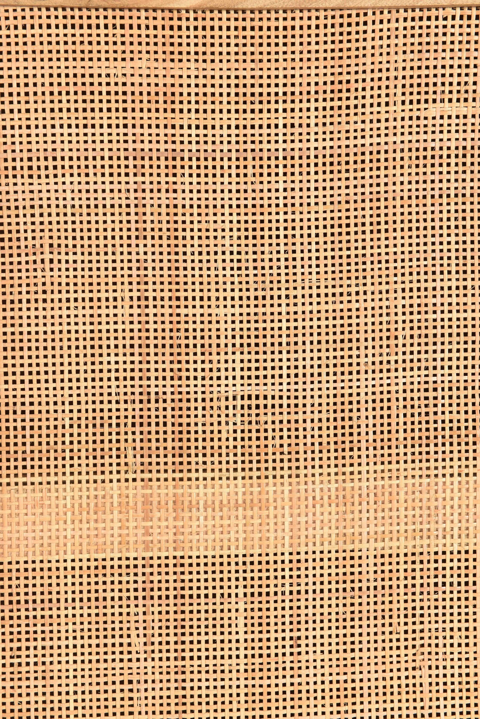 Artistiq Kledingkast 'Denice' Mangohout en rotan, 180 x 80cm