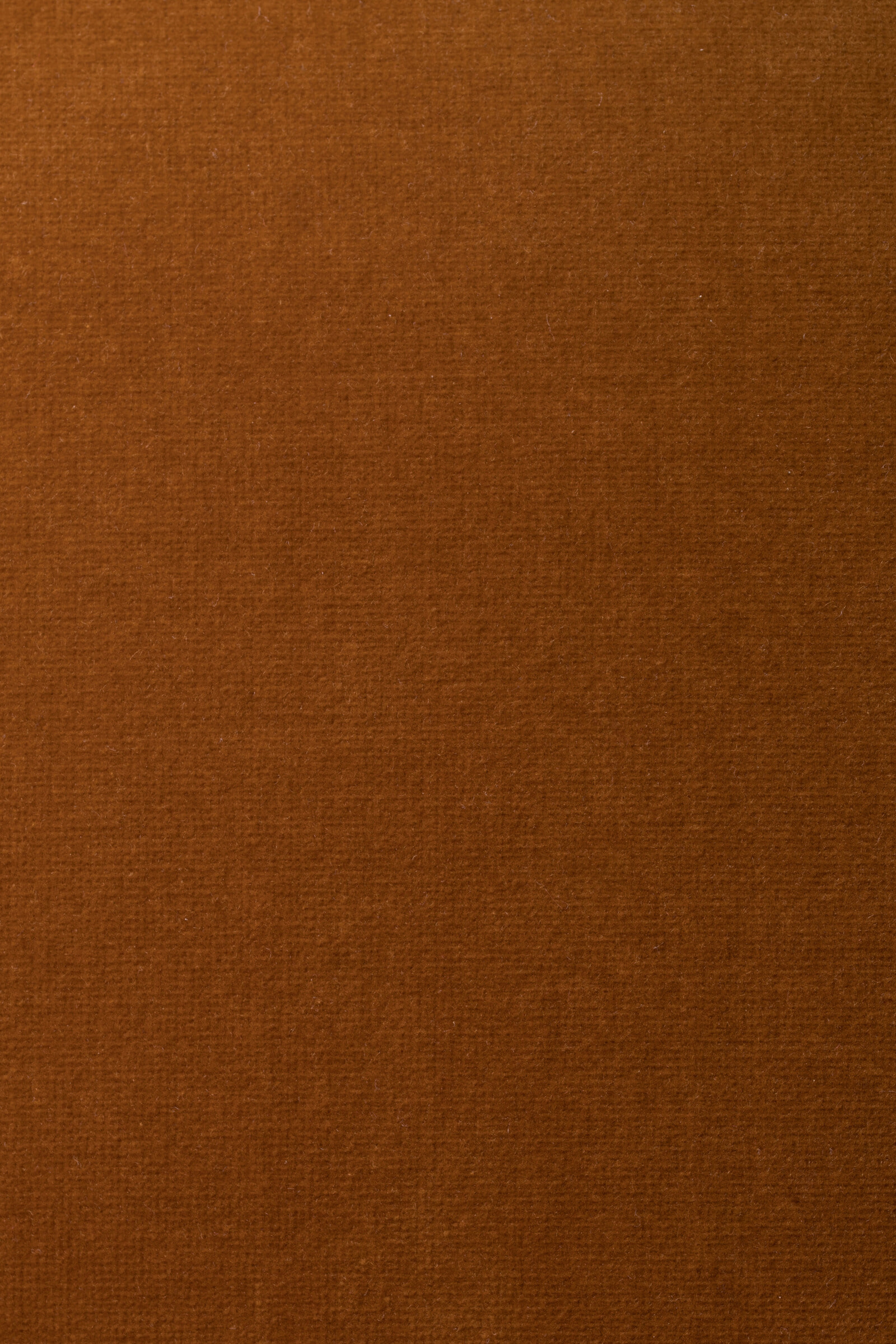 Dutchbone Fauteuil 'Member', kleur Goud