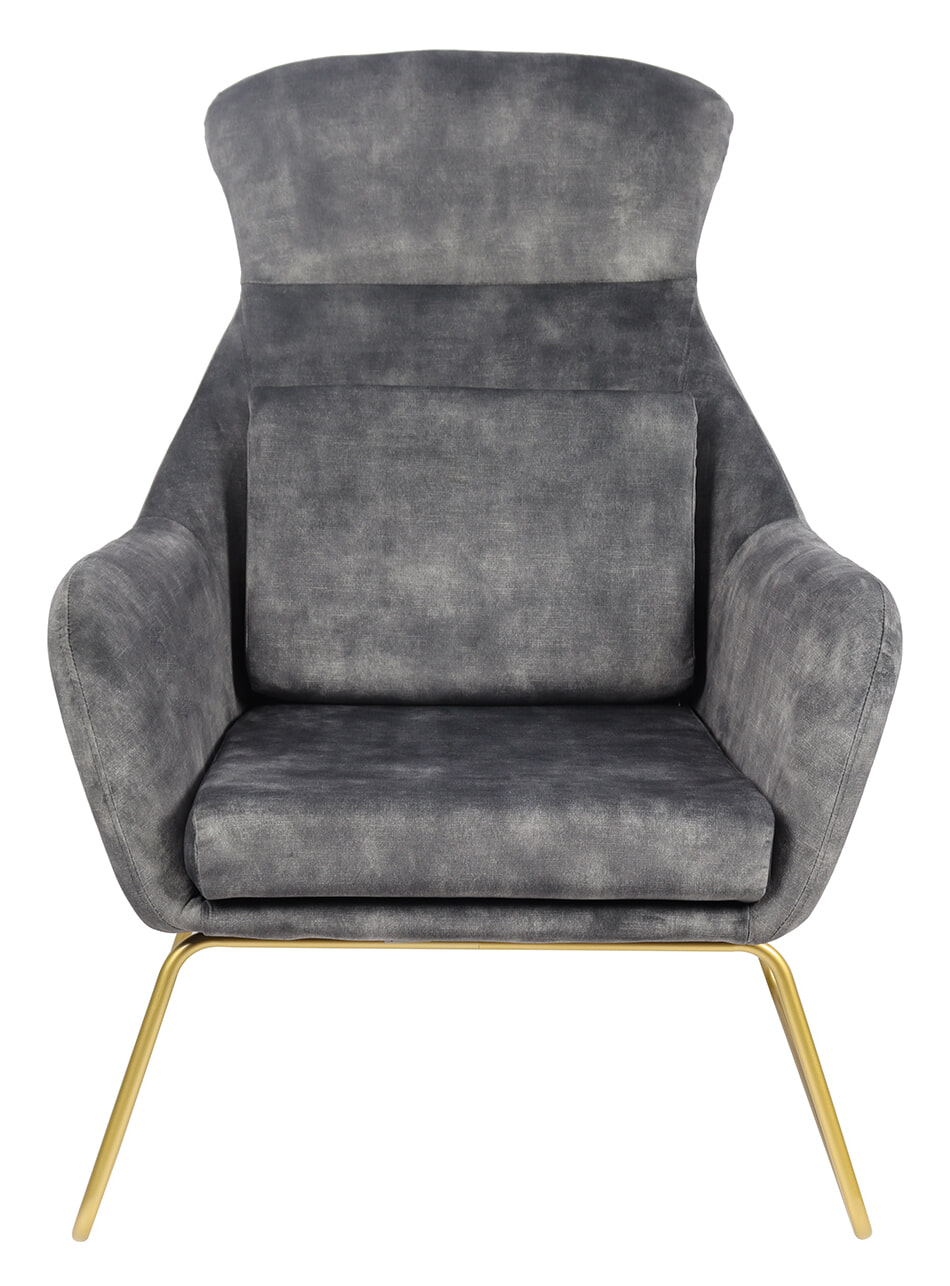 Artistiq Fauteuil 'Phelipe' Velvet, kleur grijs
