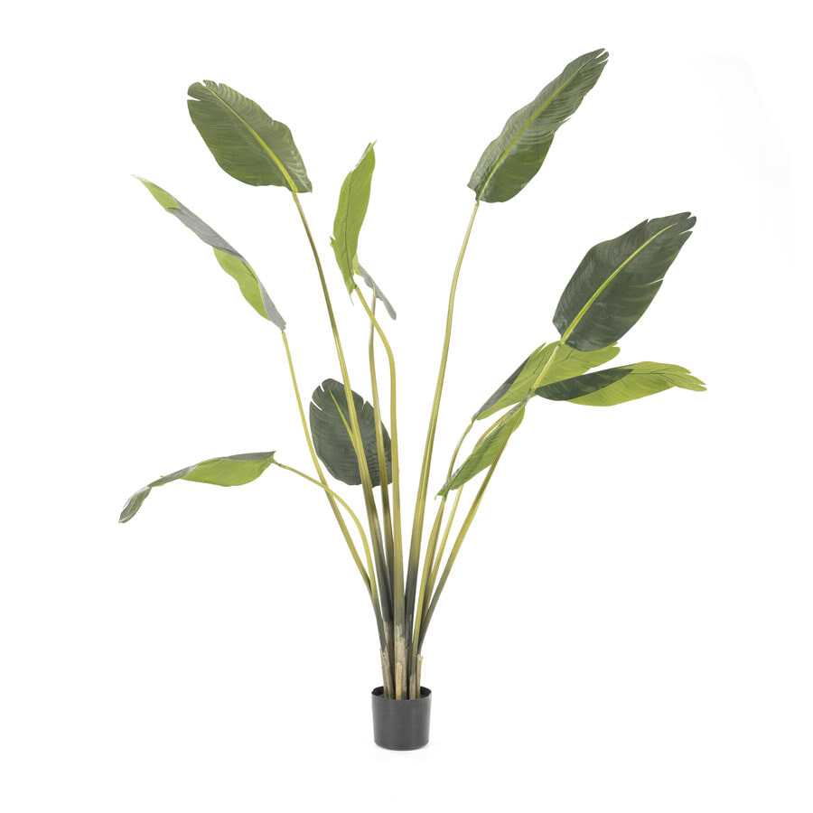 By-Boo Kunstplant Strelitzia 173cm hoog - Groen