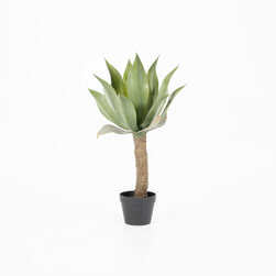 By-Boo Kunstplant 'Agave' op stam