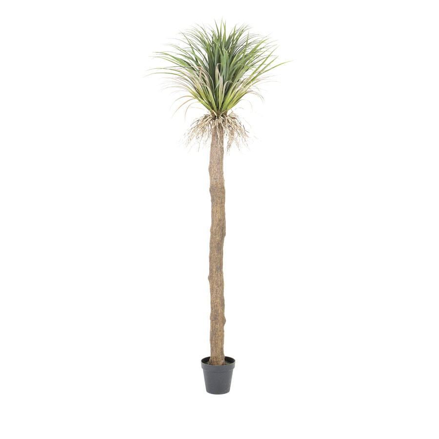 By-Boo Kunstplant 'Wild Yucca Tree' 244cm hoog