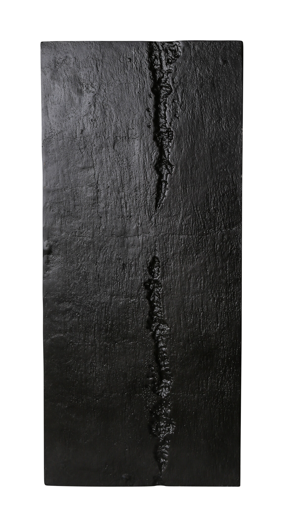 PTMD Wandpaneel 'Rino', Aluminium, 90 x 40cm, kleur Zwart