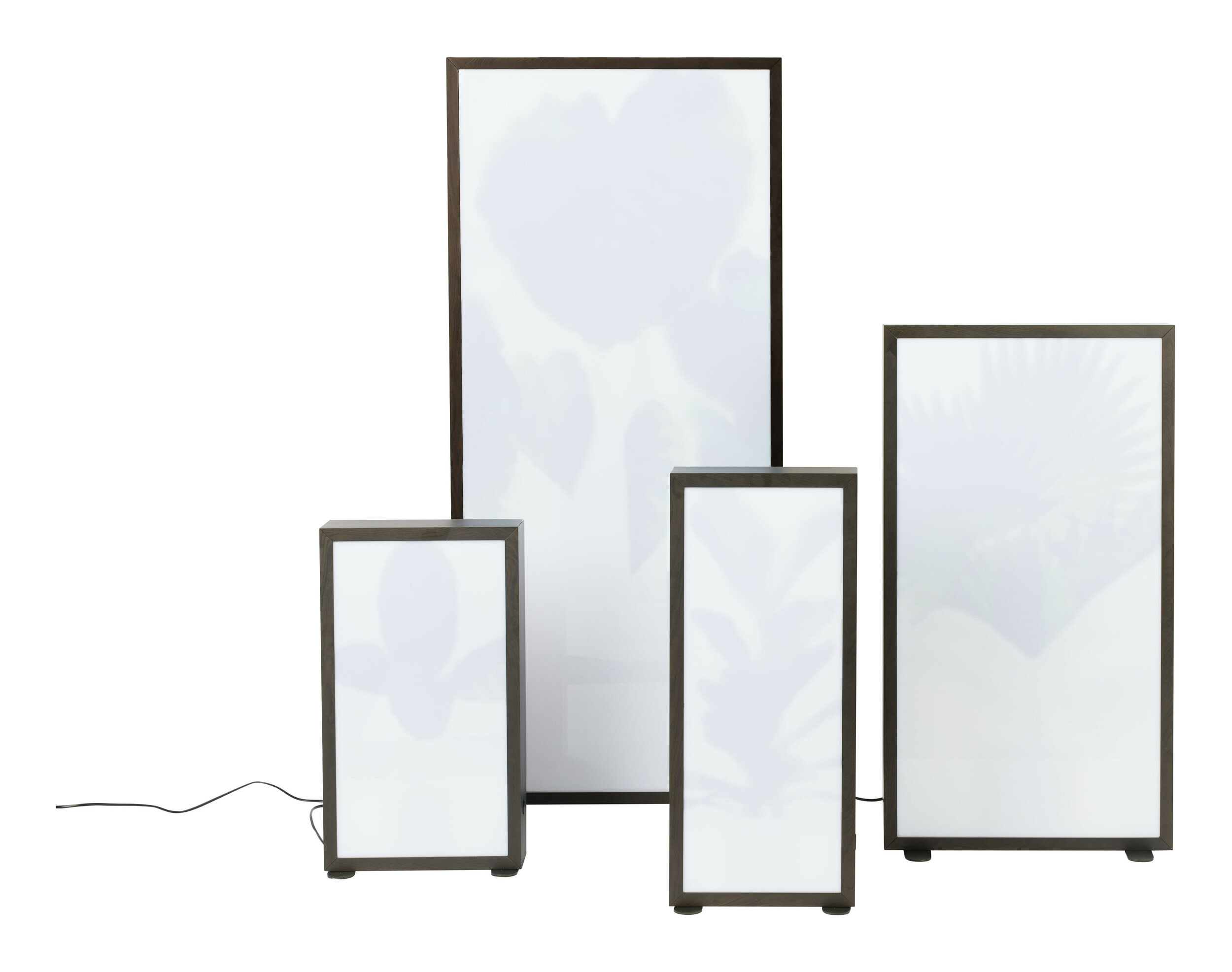 Zuiver Vloerlamp 'Grow' Zebraplant, 50cm