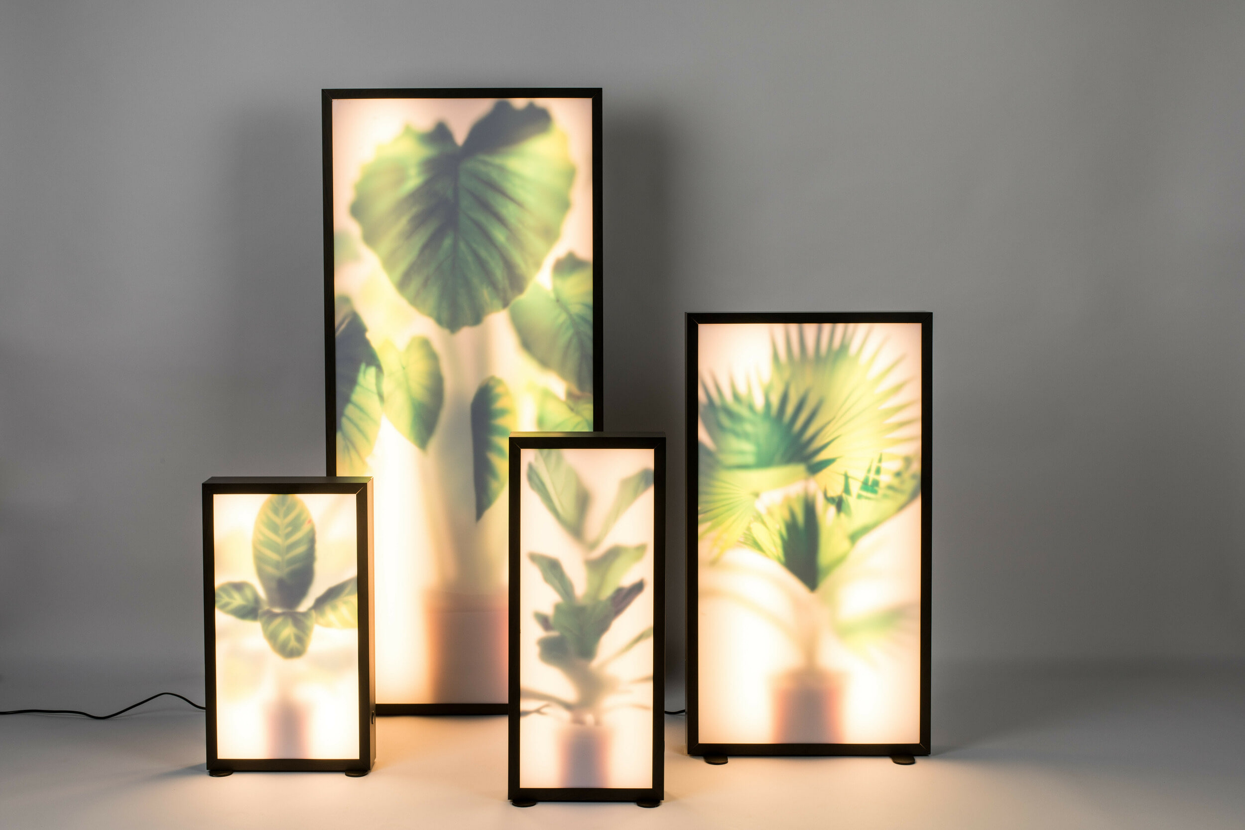 Zuiver Vloerlamp 'Grow' Zebraplant, 50cm