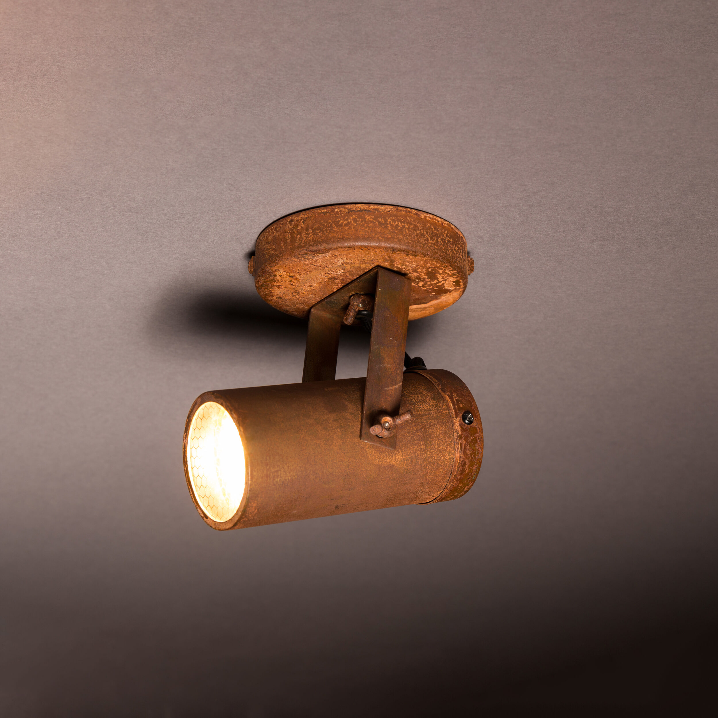 Dutchbone Plafondlamp 'Scope' 1-lamps, kleur Roest