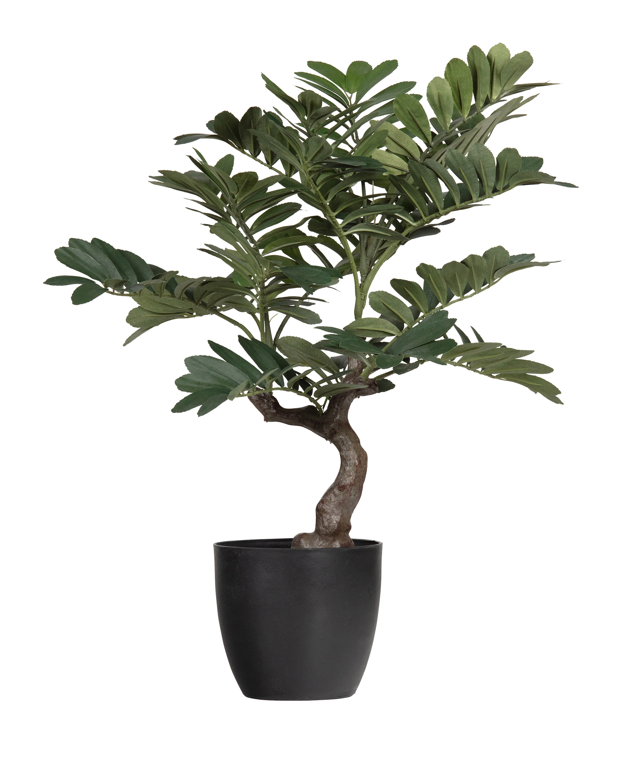 WOOOD Kunstplant 'Zamia' WOOOD Kunstplant 'Zamia'