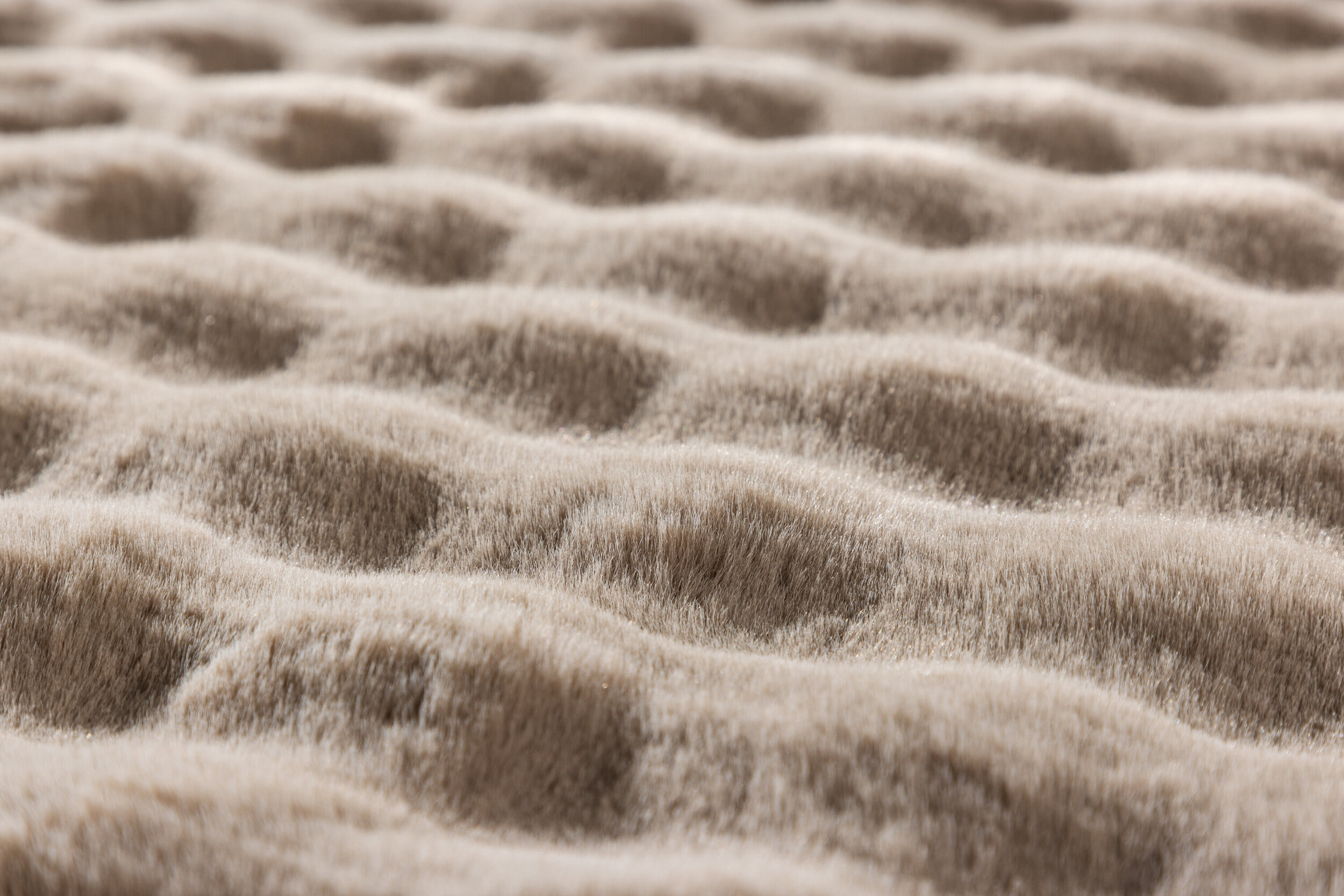 Nohr Vloerkleed 'Dandra' 200 x 290cm, kleur Beige