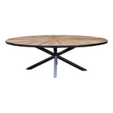 PTMD Ovale Eettafel 'Cleme' 220 x 110.5cm, kleur Zwart