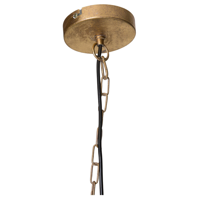 PTMD Hanglamp 'Mea Gold' Palmblad, kleur Goud