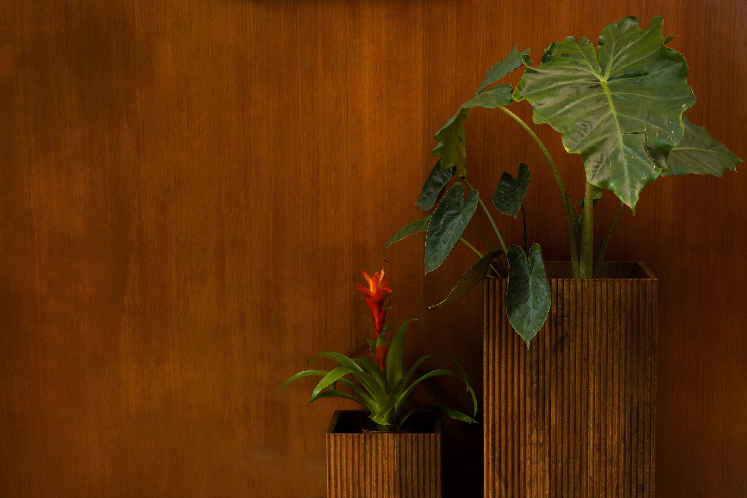 Dutchbone Plantenstandaard 'Ribble' Mangohout, Set van 2 stuks