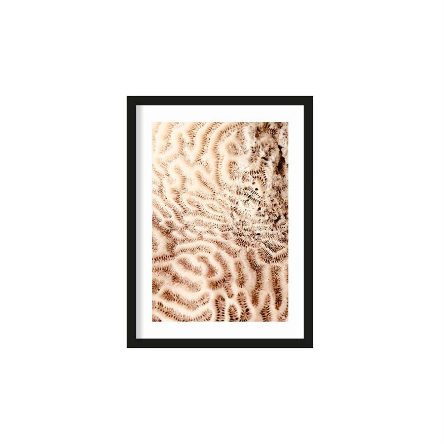 Urban Cotton Artprint The brains of the sea 30 x 40cm