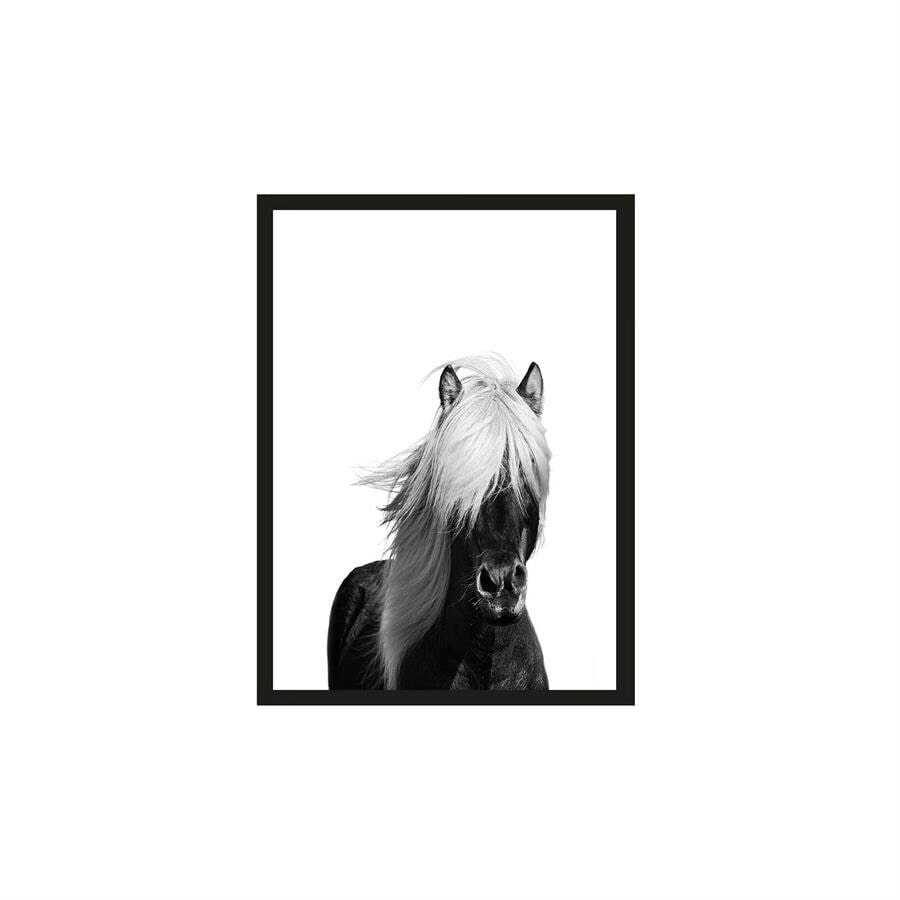 Urban Cotton Artprint Wild Horse 30 x 40cm