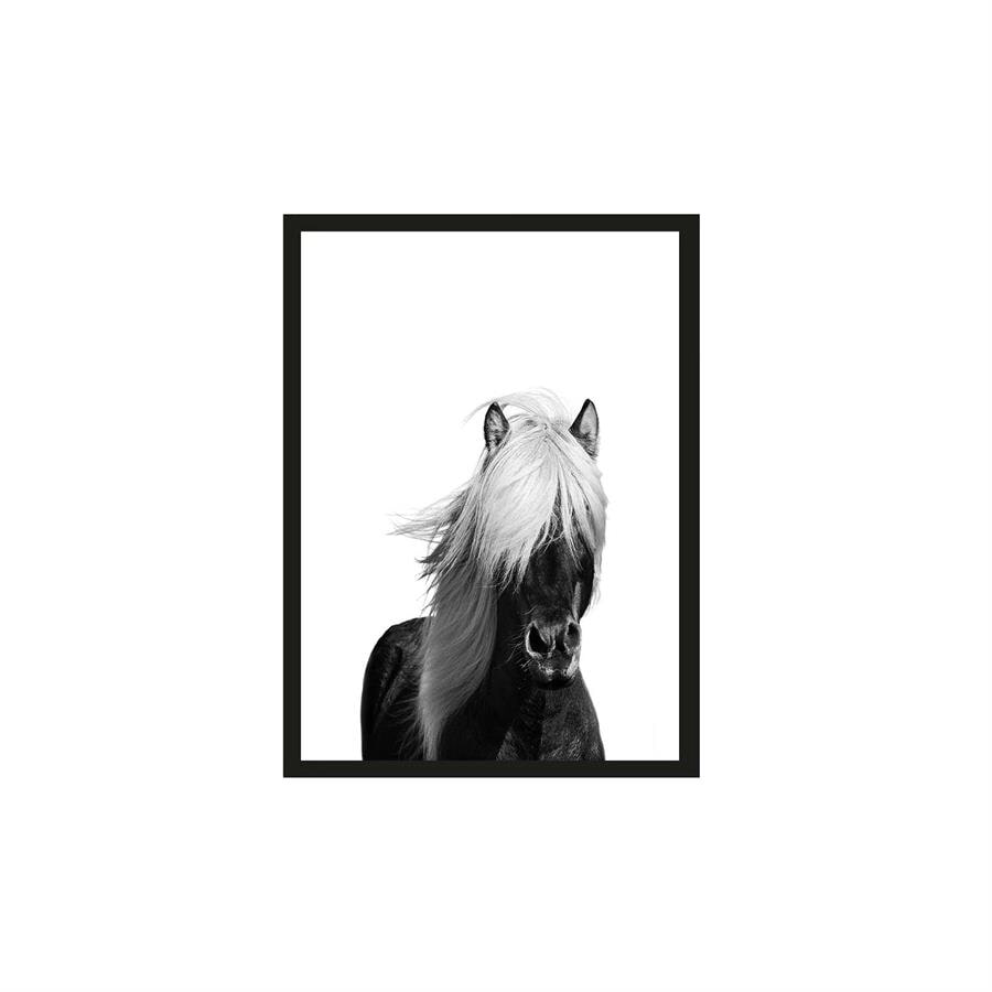 Urban Cotton Artprint 'Wild Horse' 40 x 50cm