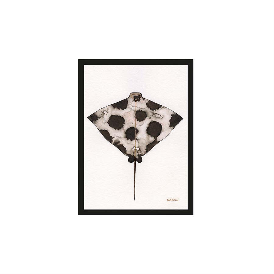 Urban Cotton Artprint Eagle Ray 30 x 40cm