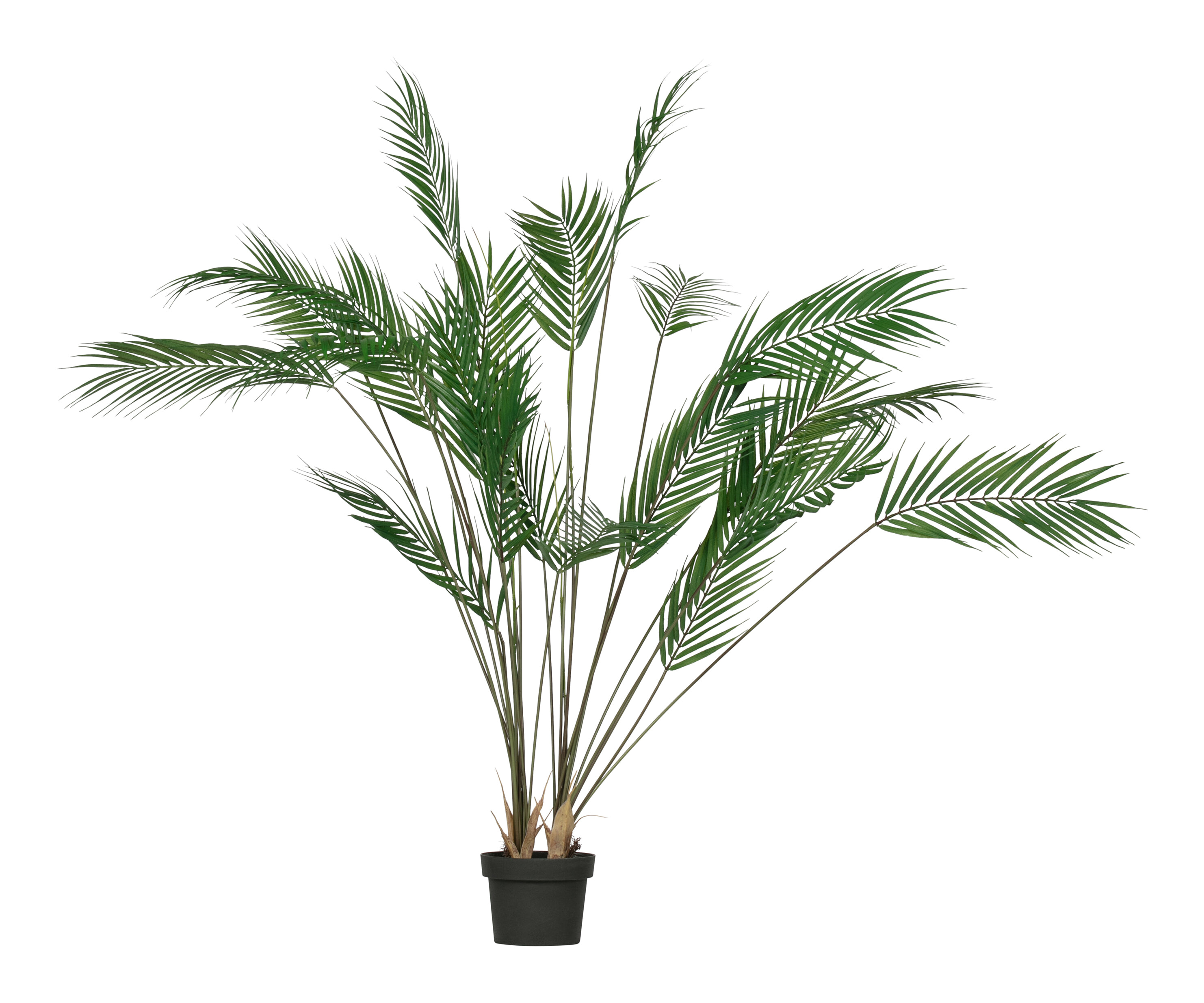 WOOOD Kunstplant 'Palm', kleur Groen