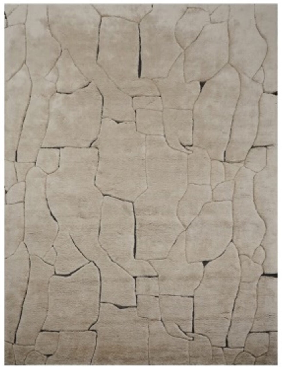 Richmond Vloerkleed 'Bhawan' 300x400cm, kleur Bruin