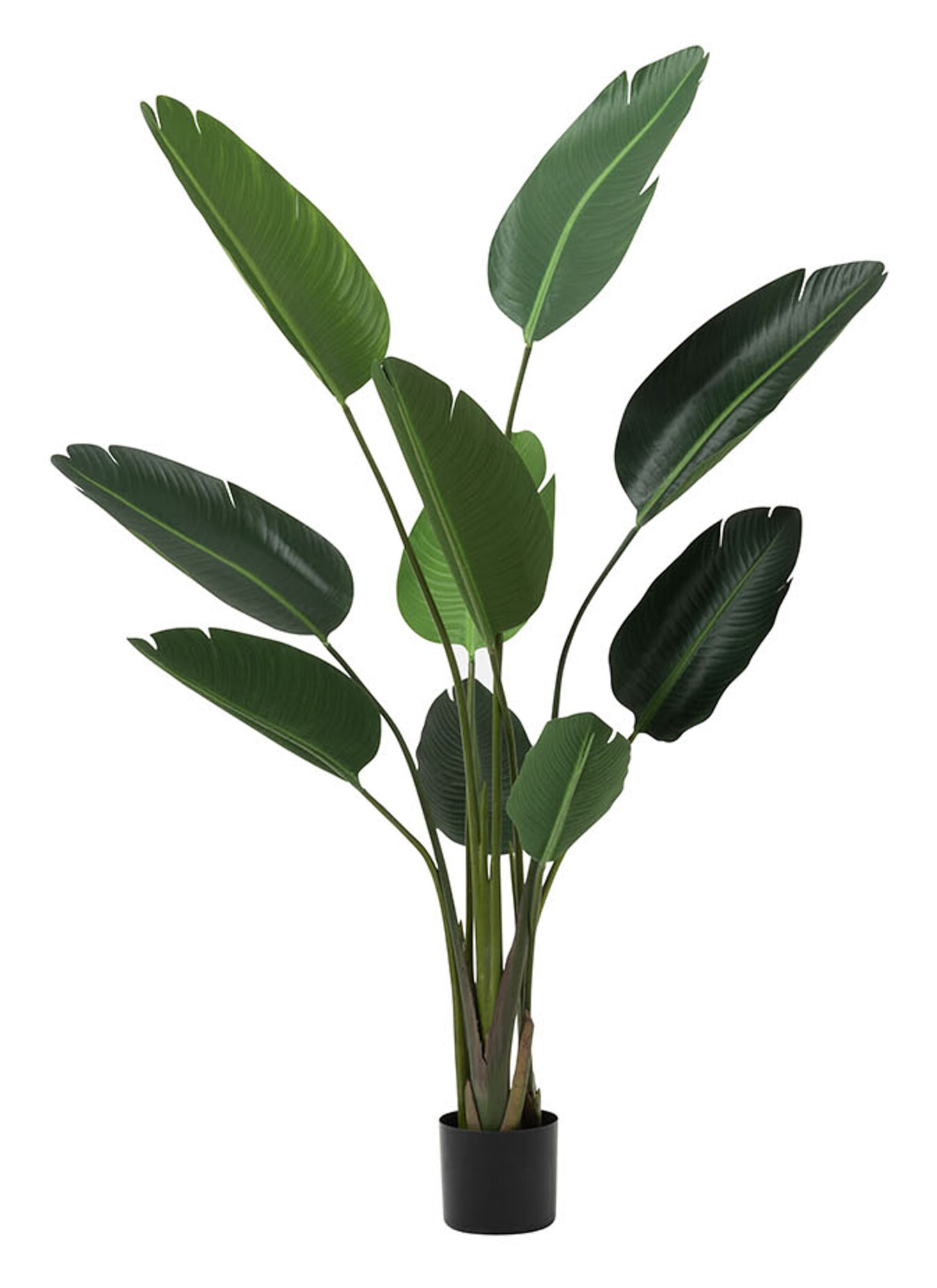 J-Line Kunstplant 'Strelitzia' 150cm J-Line Kunstplant 'Strelitzia' 150cm