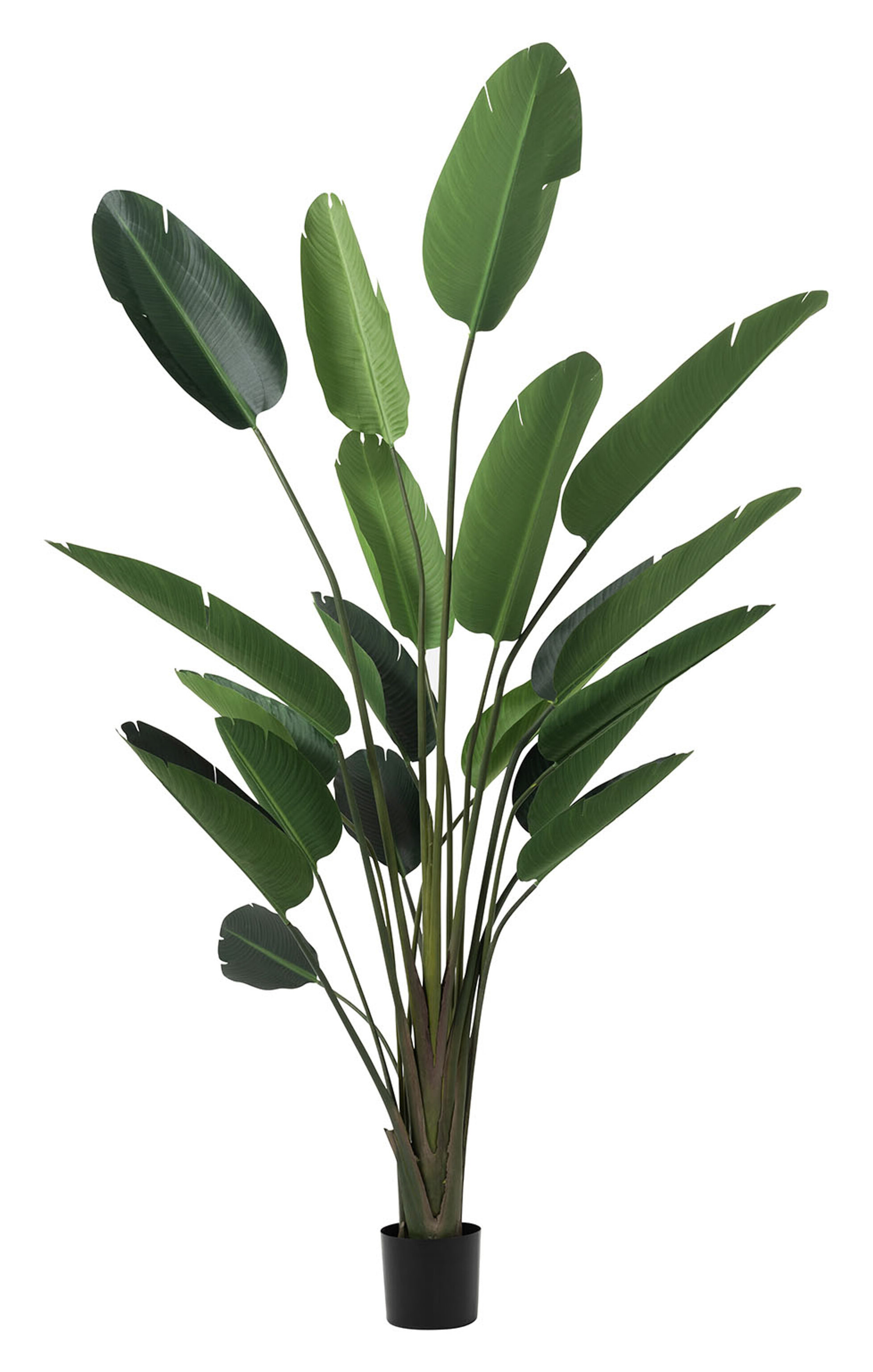 J-Line Kunstplant 'Strelitzia' 245cm J-Line Kunstplant 'Strelitzia' 245cm