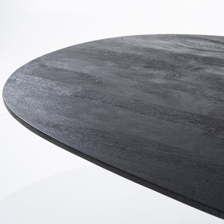 Eleonora Eettafel 'Aron' Deens Ovaal, Mangohout, kleur Zwart, 300 x 110cm