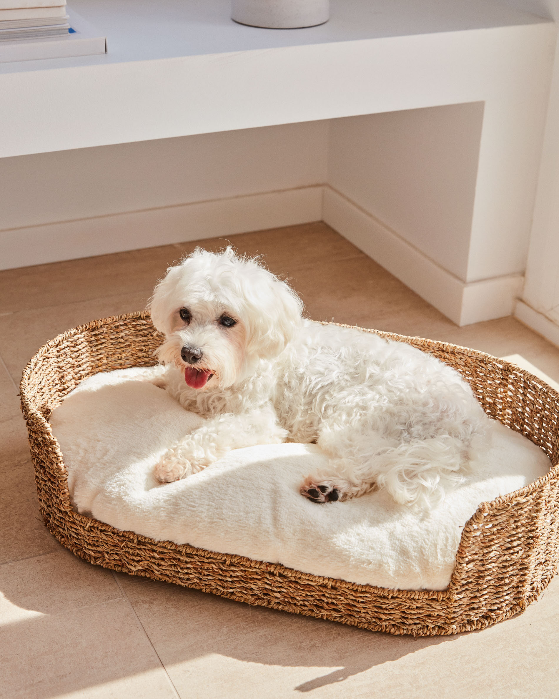 Kave Home Hondenmand 'Fliicker' Zeegras, 60 x 35cm