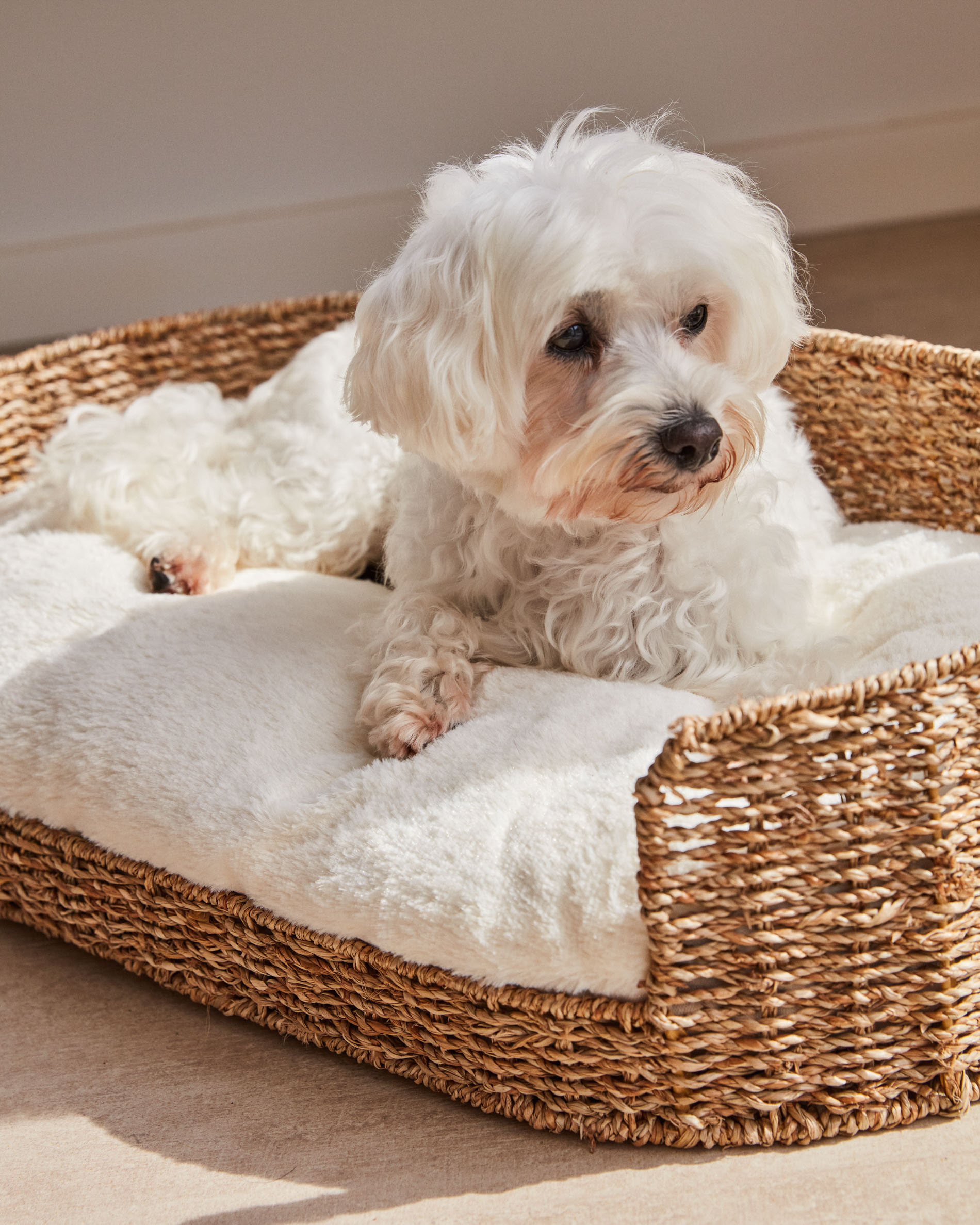 Kave Home Hondenmand 'Fliicker' Zeegras, 60 x 35cm