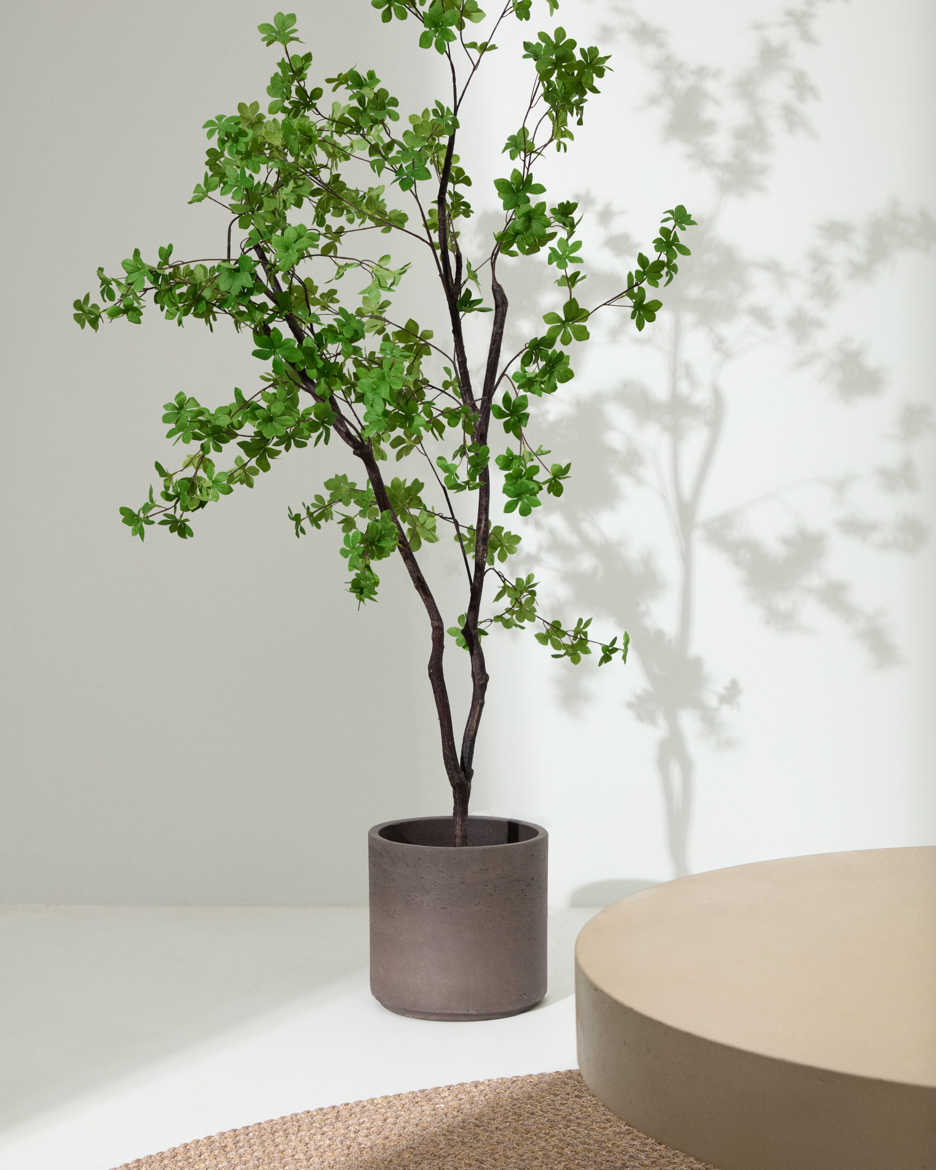 Kave Home Kunstplant 'Enkianthus' 214cm
