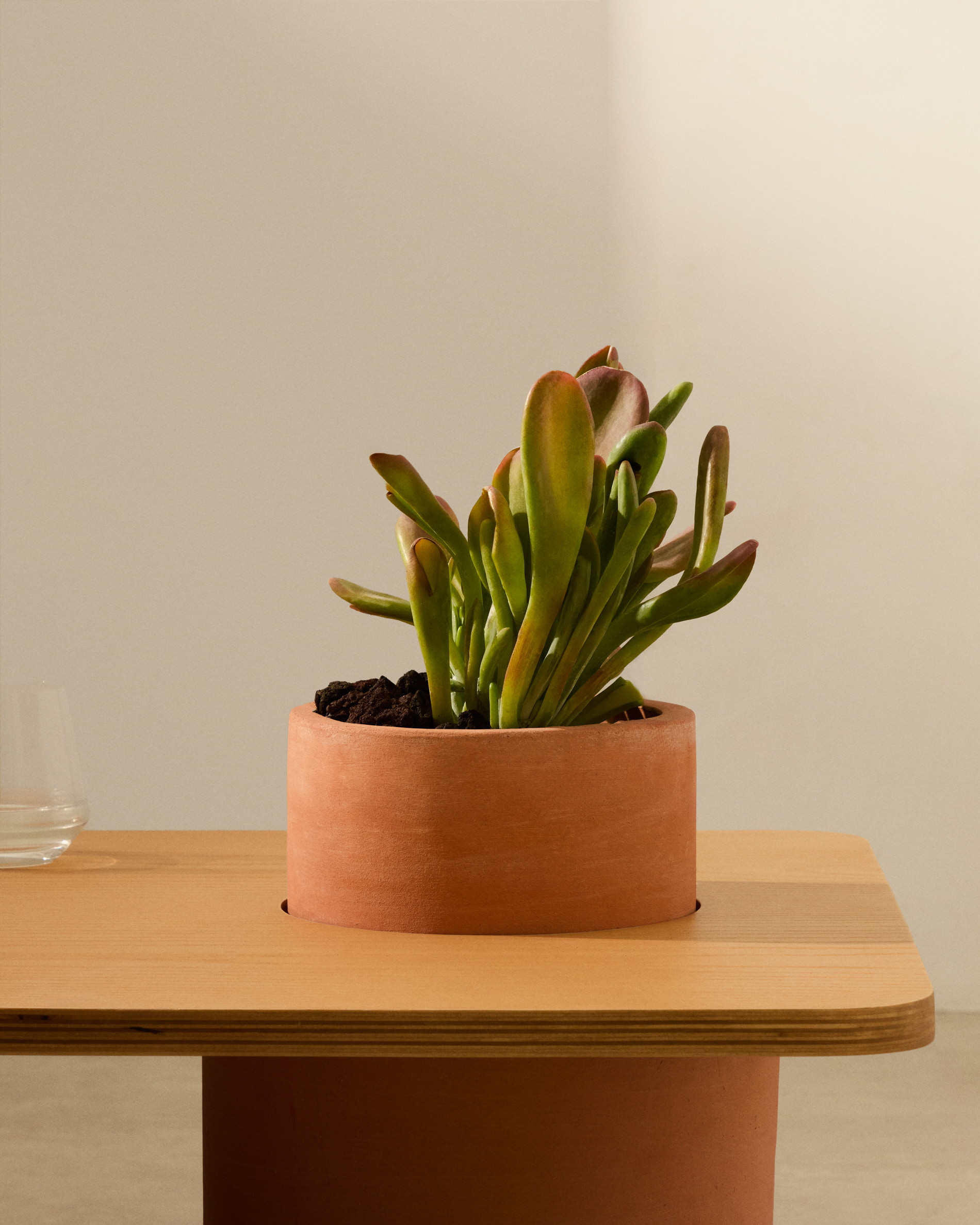 Kave Home Salontafel 'Olaria' Terracotta en eiken, 110 x 60cm
