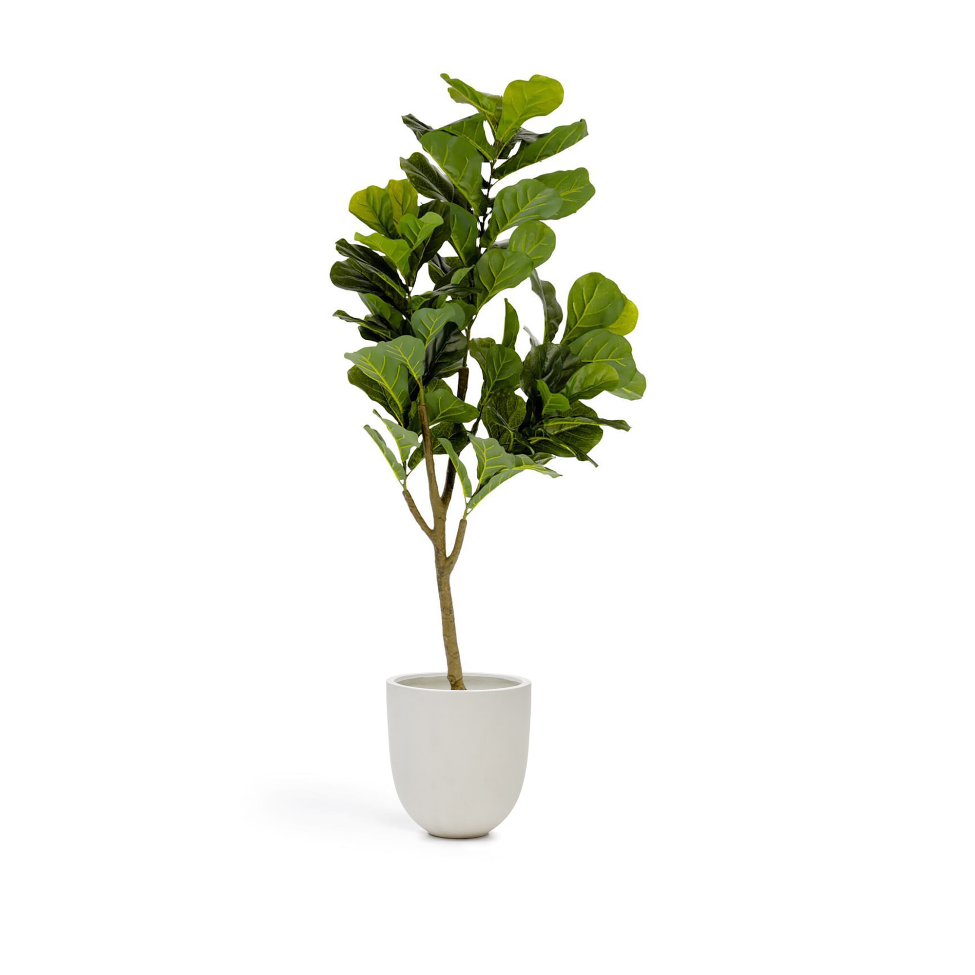Kave Home Kunstplant 'Ficus'