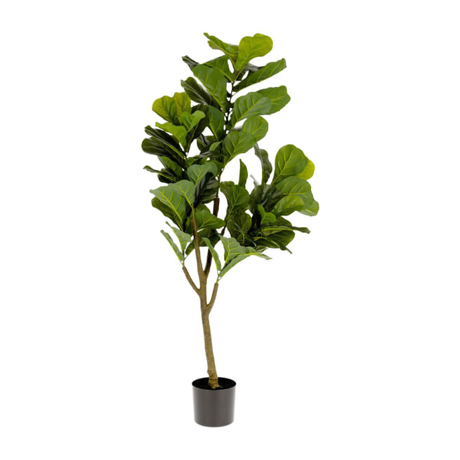 Kave Home Kunstplant 'Ficus'