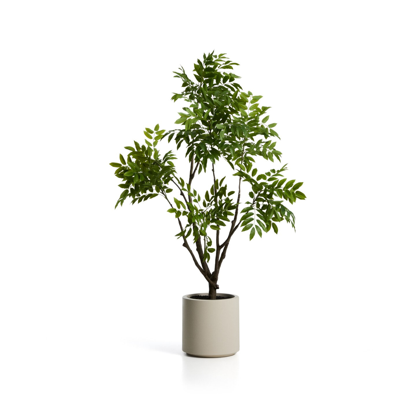 Kave Home Kunstplant 'Rhus' Incl. witte pot, 185cm