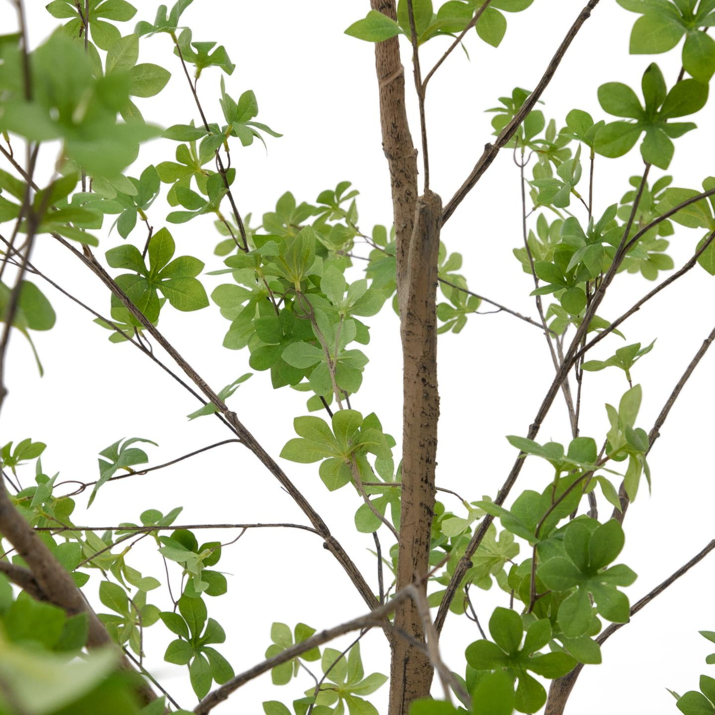 Kave Home Kunstplant 'Enkianthus' 214cm