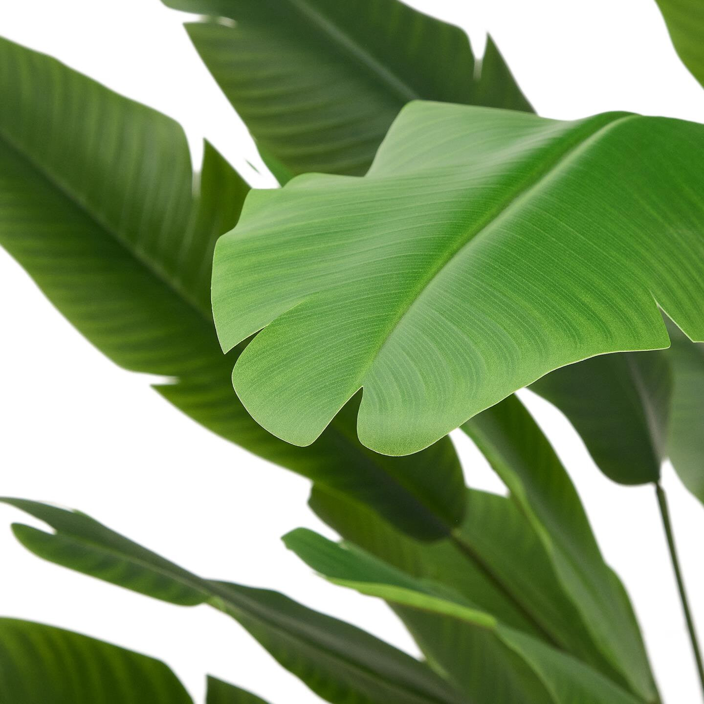 Kave Home Kunstplant 'Banano', Bananenplant (Musa), 210cm hoog, excl. sierpot