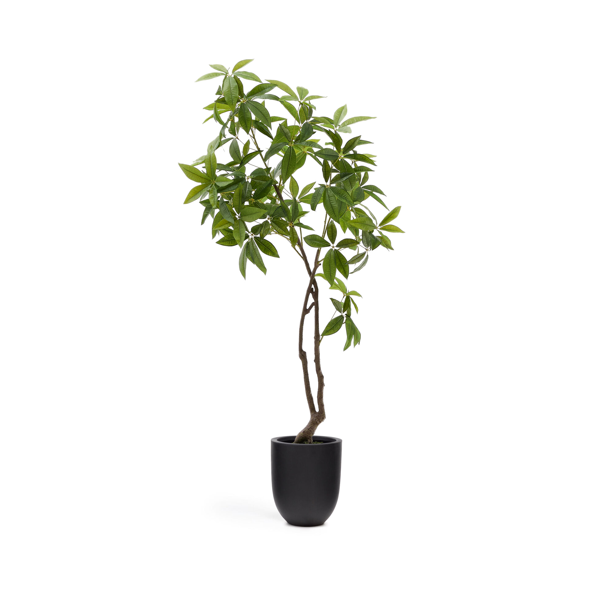 Kave Home Kunstplant 'Pachira' 180cm hoog