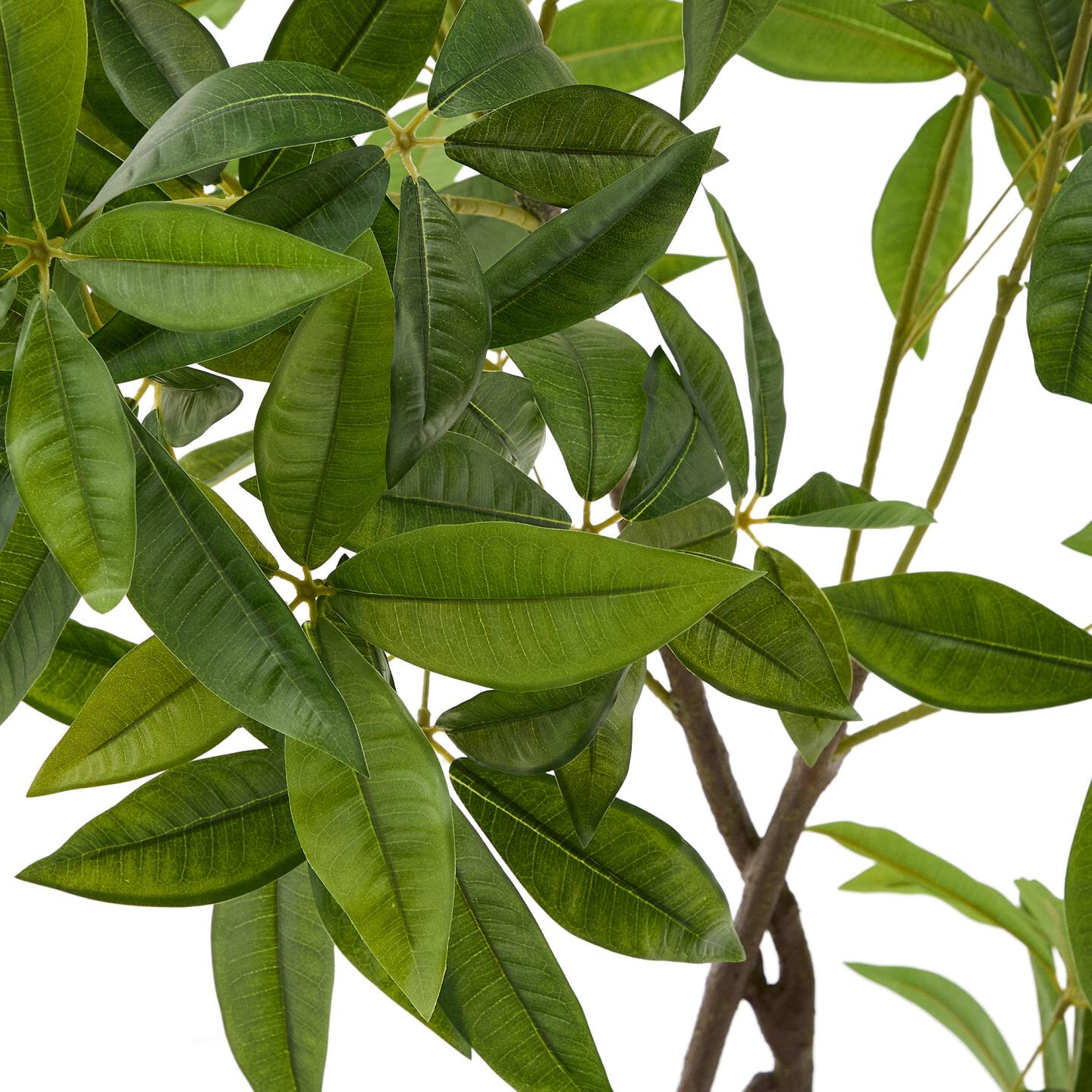 Kave Home Kunstplant 'Pachira' 180cm hoog