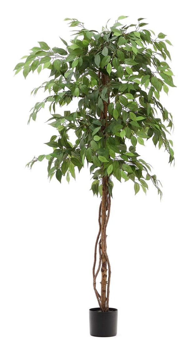 Kave Home Kunstplant 'Ficus' 180cm hoog, excl. sierpot