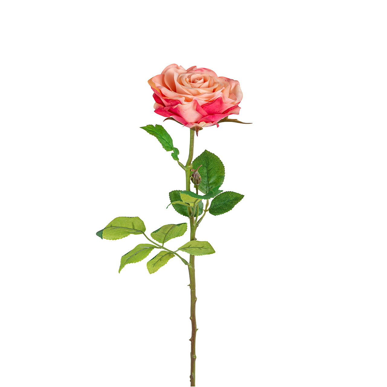 Richmond Bloem 'Rose', 18 stuks, kleur Roze/Wit