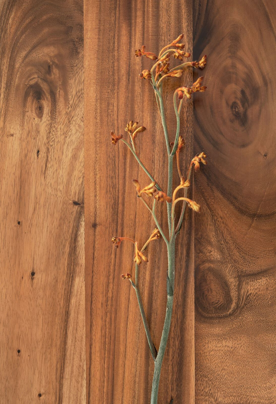 DTP Home Wandrek 'Flare' Suarhout, 130 x 220cm