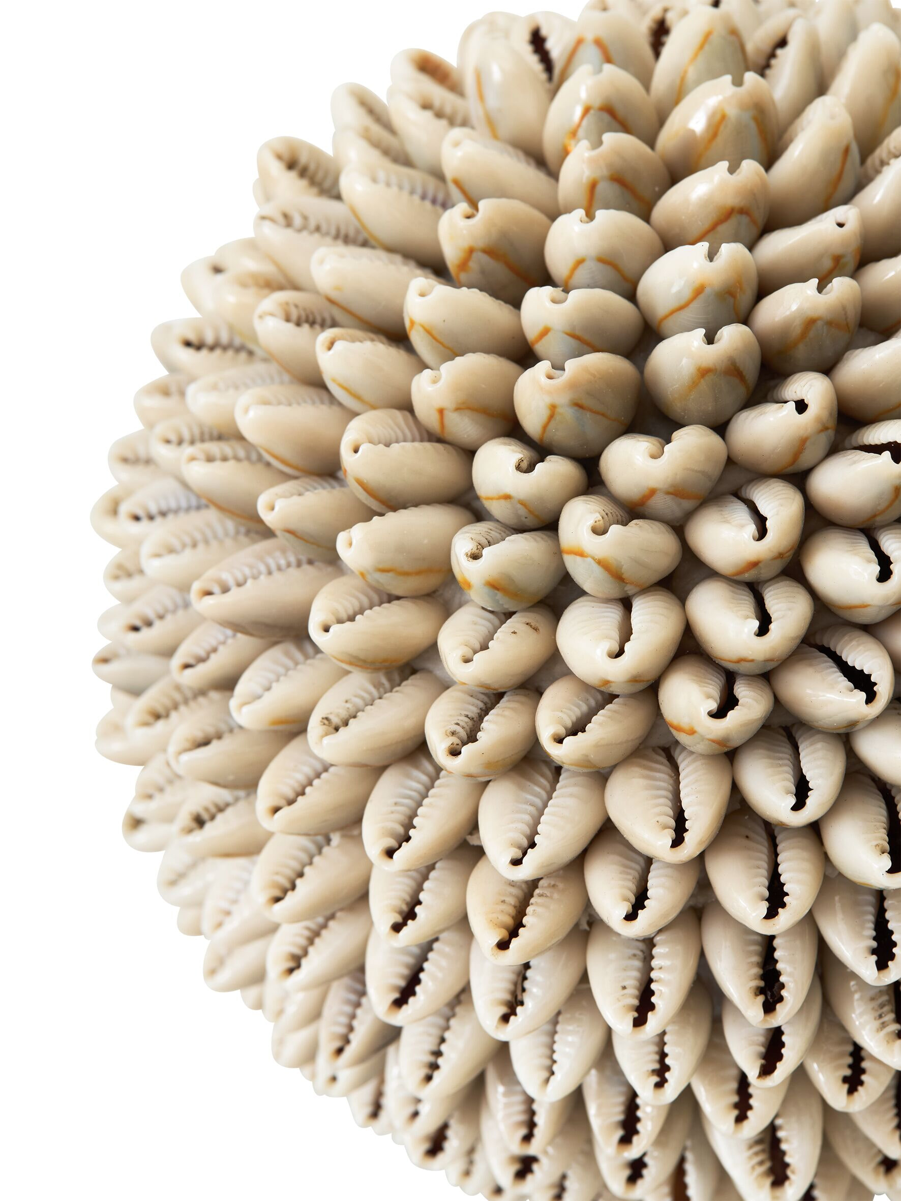 MUST Living Ornament 'Sand Shell' Schelpen