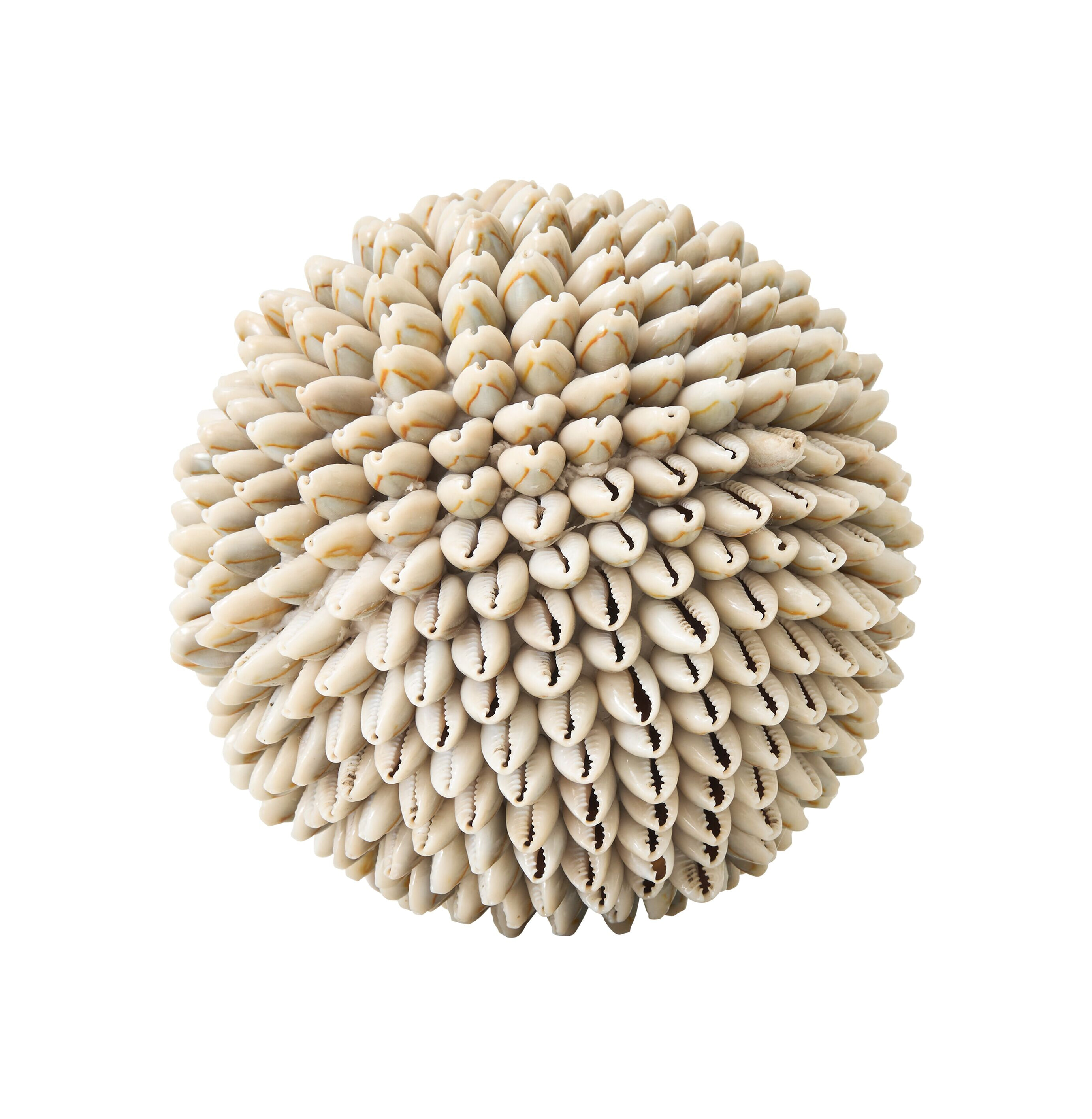 MUST Living Ornament Sand Shell Schelpen - Beige