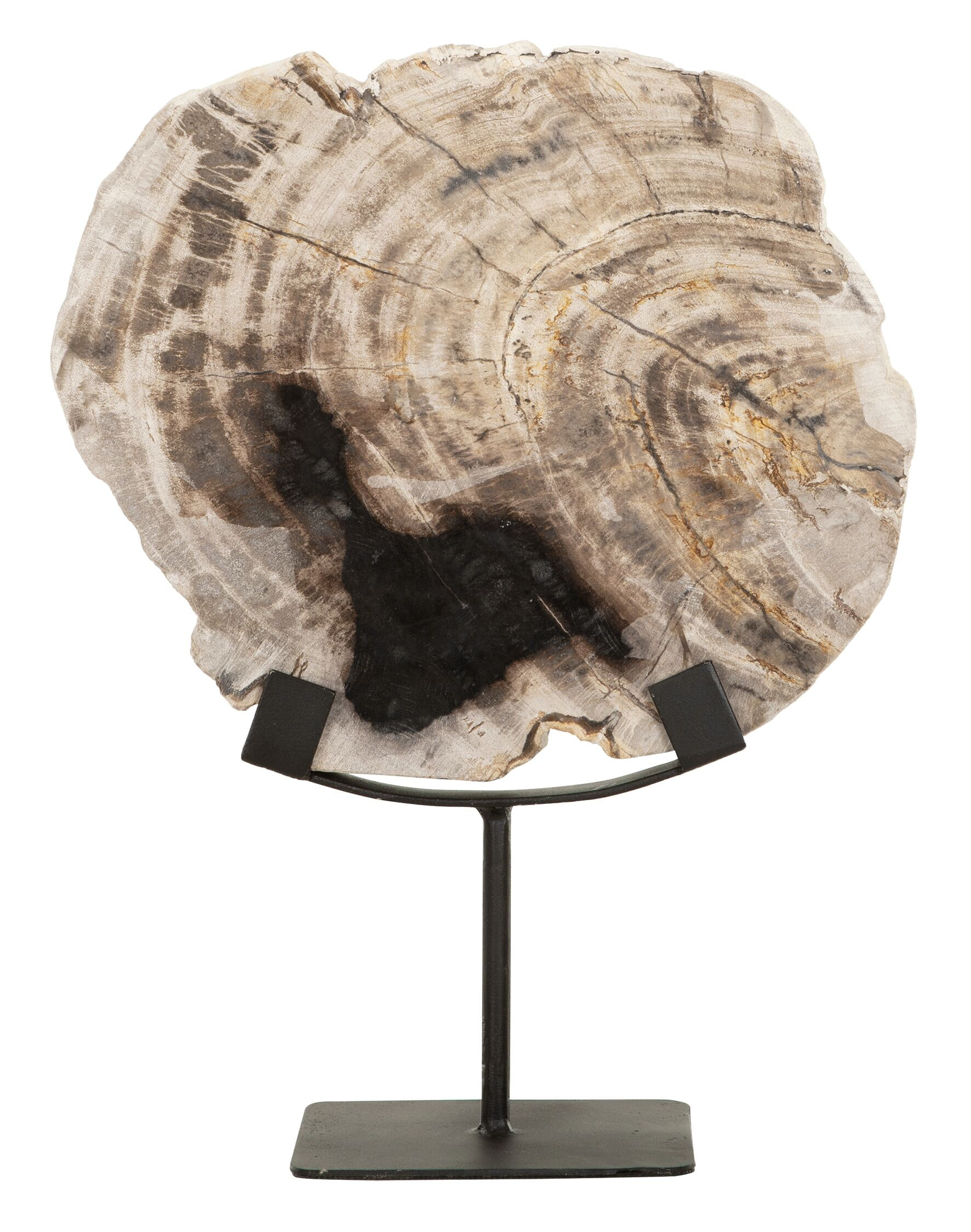 MUST Living Ornament Fossil Versteend hout, 33cm hoog - Beige