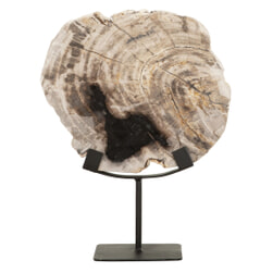 MUST Living Ornament 'Fossil' Versteend hout, 33cm hoog