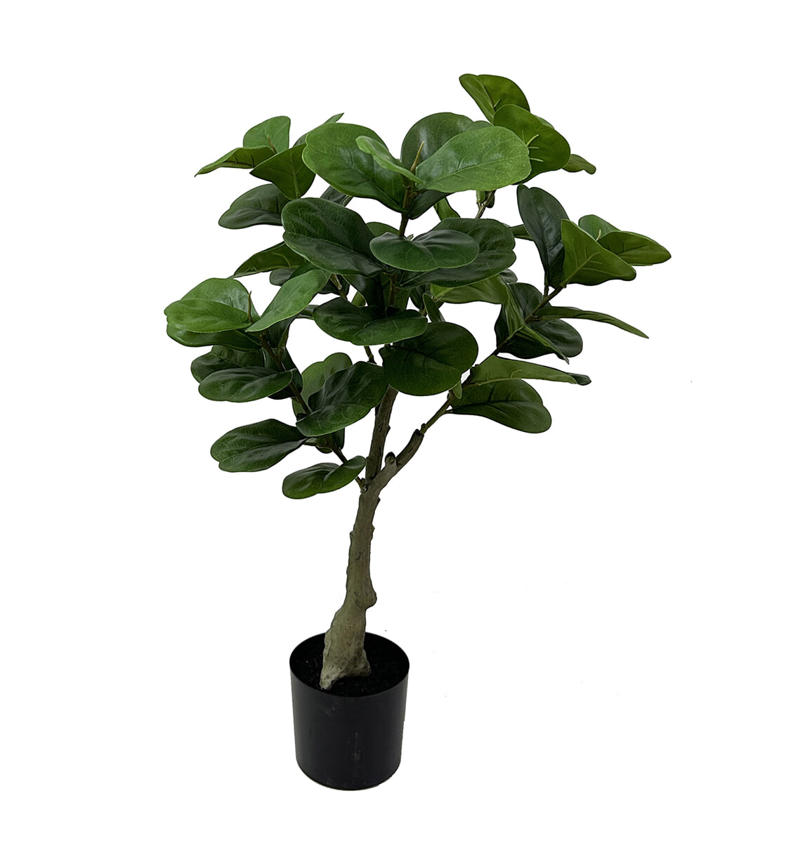 present time Kunstplant Ficus 72cm - Groen
