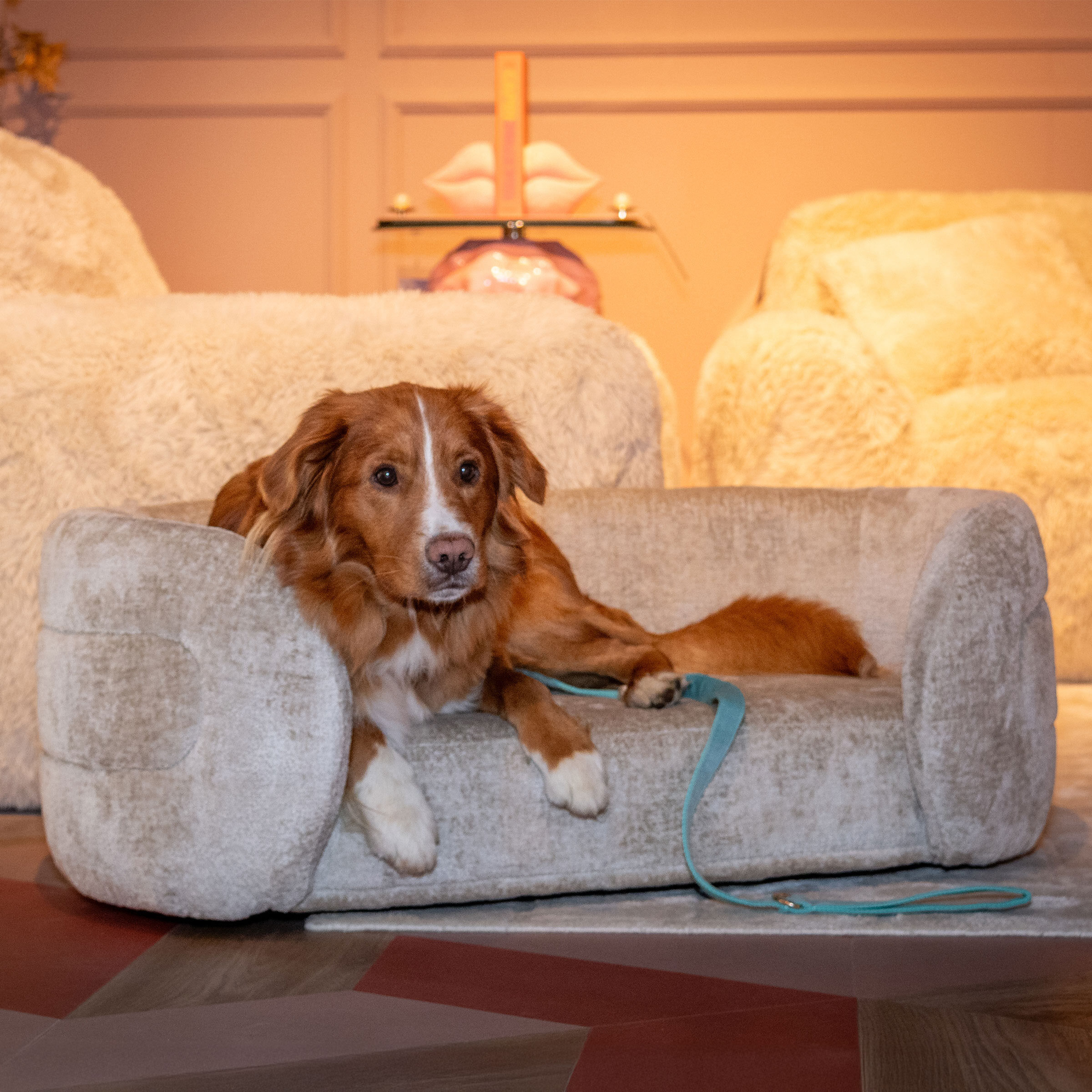 Richmond Huisdierenbed 'Bingo' Chenille