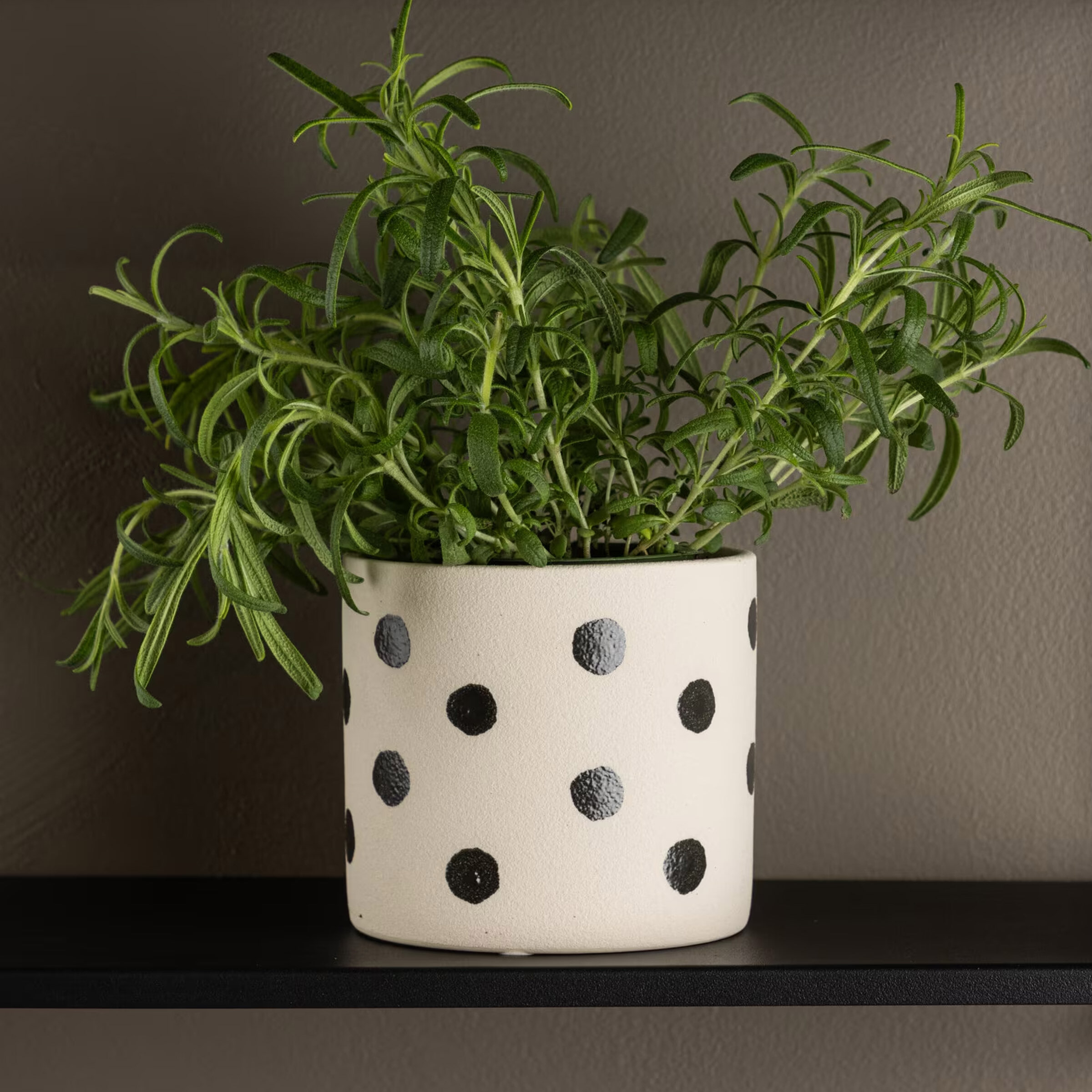 Nohr Plantenpot 'Velinda' 10cm hoog, kleur Wit/Zwart