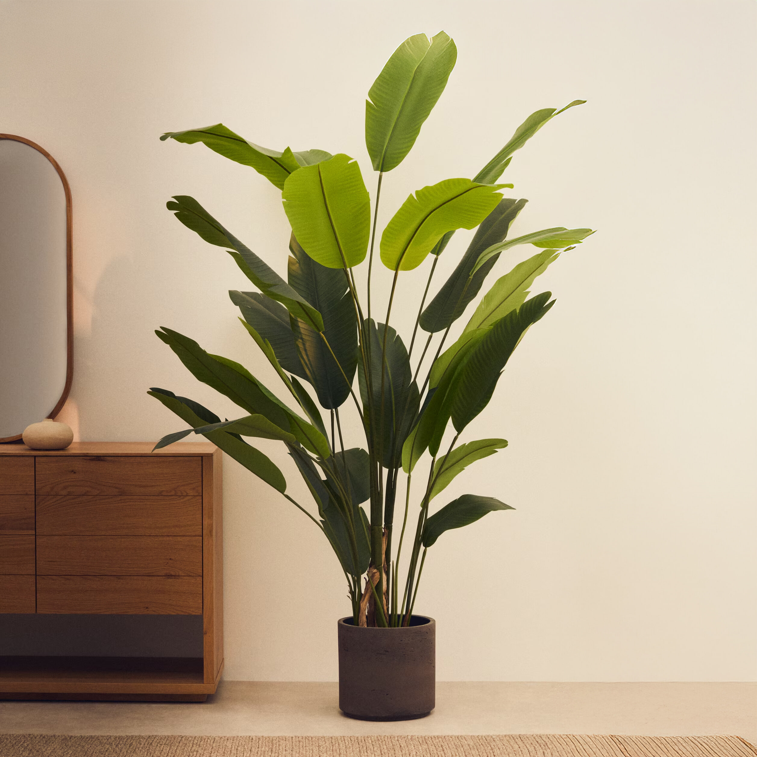 Kave Home Kunstplant Banano, Bananenplant (Musa), 210cm hoog, excl. sierpot - Groen