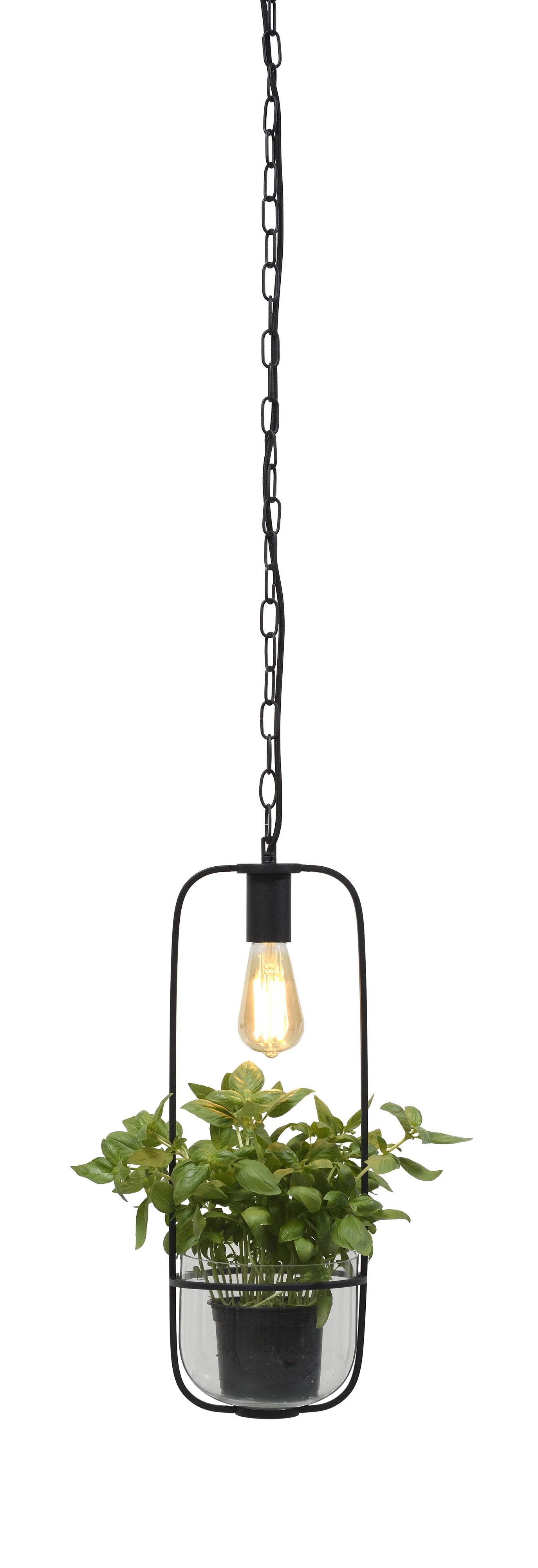 its about RoMi Hanglamp 'Florence' Met planthouder, kleur Zwart